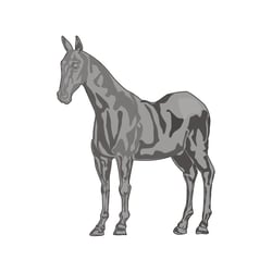 caballo vectorial