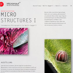 Website zu der Ausstellung von Martin Oeggerli