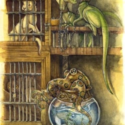 Petshop