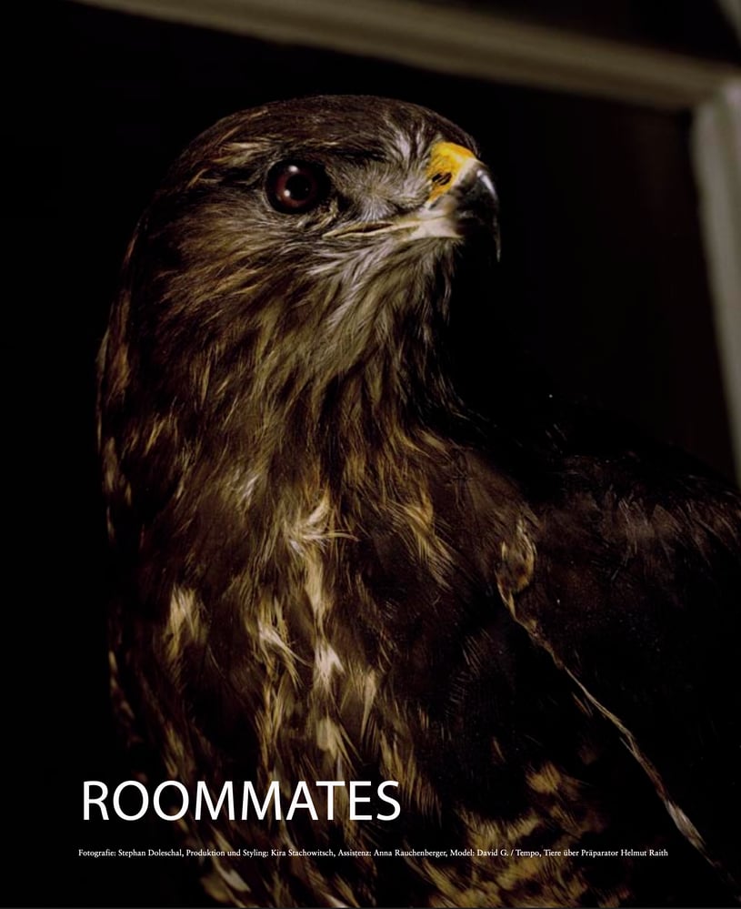 roommates