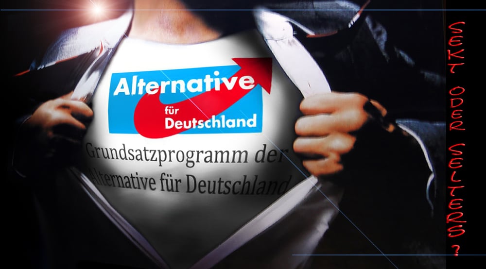 Einstimmung AfD-Programm