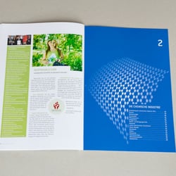 Geschäftsberichte – Chemische Industrie Österreich – 2011/12