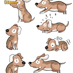 Bammel Illustrationen für ein Kartenspiel und ein Buch