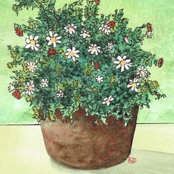 Blumentopf1