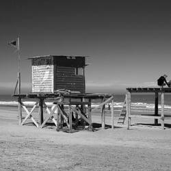 Strandstillleben
