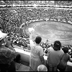 Viva Corrida