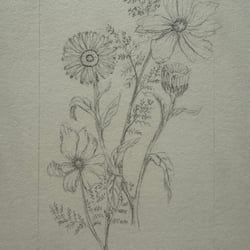 Oktober Geburtsblumen
