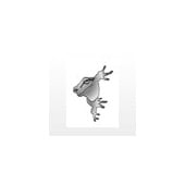 (click) frog.networks – agentur für digitale me