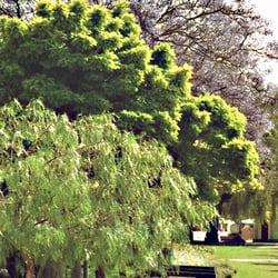portimao park