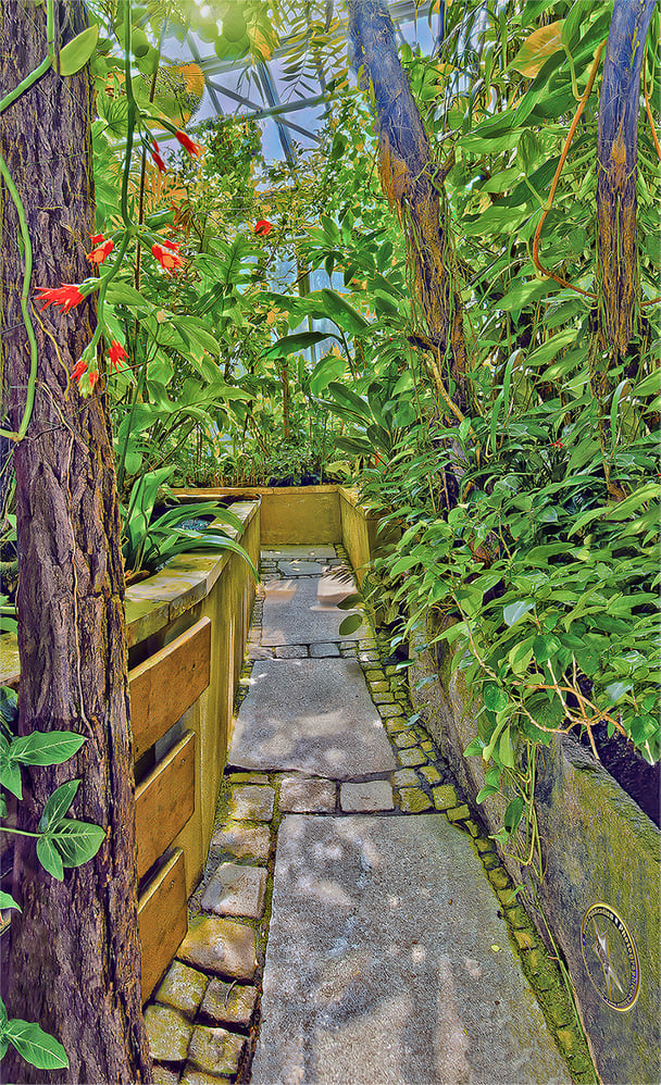 Aufnahme für das Botanische Institut Uni Erlangen