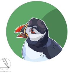 App Design – Tier Illustrationen