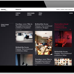 Serien Website – Unternehmensbereich