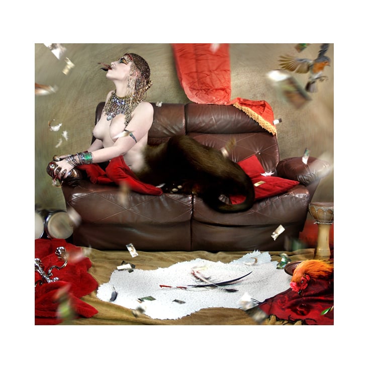 „Katzenmahl“ Fotografie, Montage, Bearbeitung