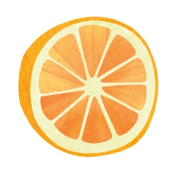 Organicator Illus