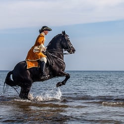 Tierfotografie