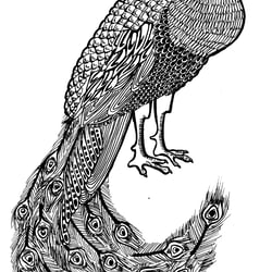 Black Pen