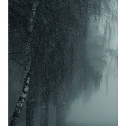 Die Beklemmung