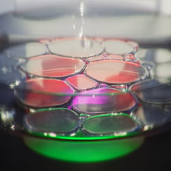 Microscopic Exploration