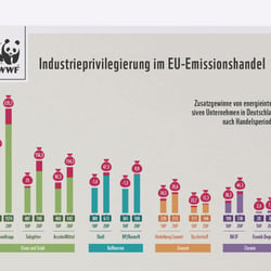 Infografik zum EU-Emissionshandel