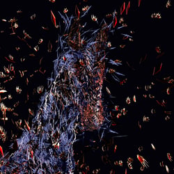 Horse and particles