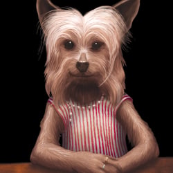 Amy