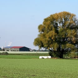 Elefantentron im Oktober 1