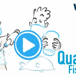 WDR Quarks – Fische
