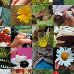 Zwei Blumen unterwegs