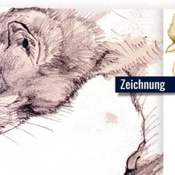 Zeichnungen