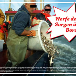 Plakatserie, Konzept gegen Tierqual