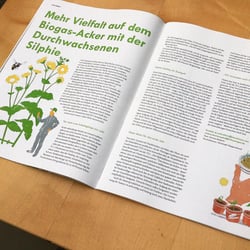 FNR Editorial Illustration, Magazin