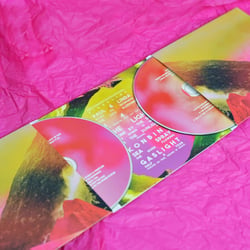 Artwork für ein von mir geschriebenes, produziertes und veröffentlichtes Doppelalbum