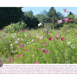 Dalheimkalender: Sommerferien im Schulgarten