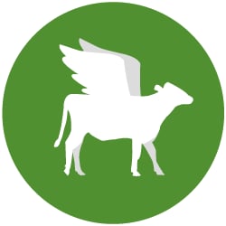 Neuland-Medien GmbH & Co. KG