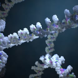 DNA