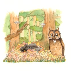 Meine Freundin, die Amsel