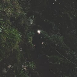Wander Content Creation Madeira Petzl Leuchte