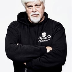 Paul Franklin Watson ist der Gründer der Sea Shepherd Conservation Society und Protagonist der Dokumentation Whale Wars – Krieg