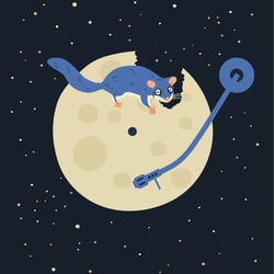 App Illustration 7Schläfer (Fehlermeldung)