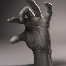 Anatomie Studie