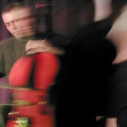 cellist
