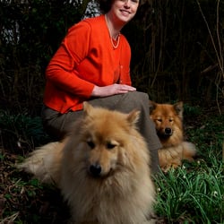Outdoor Dogs