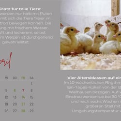 Monat April: Jahreskalender 2023 Gute Pute GbR