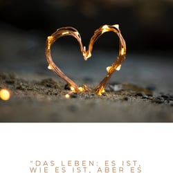 Lifelove mobil16