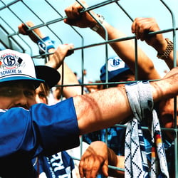 Schalke 40