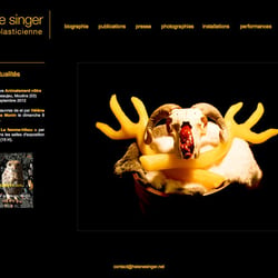 Webseite der Künstlerin Hélène Singer