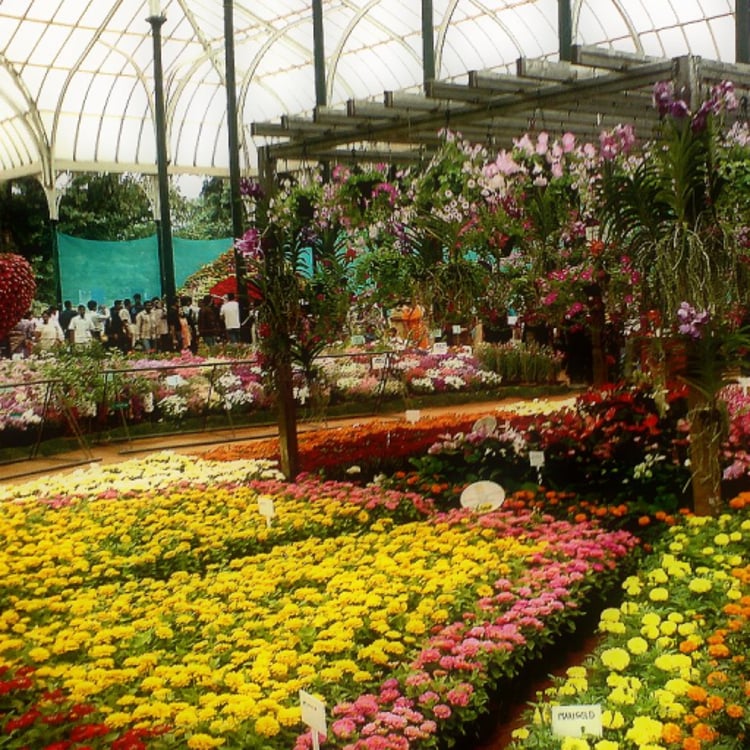 Greenhills Nursery