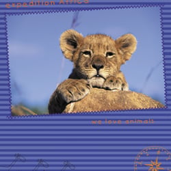 loewe6d