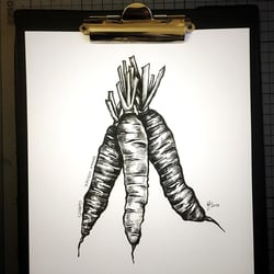 VerenaFaeth Carrots Ink