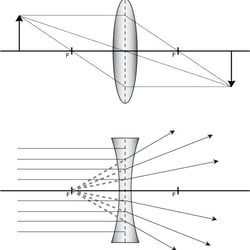 Linsen